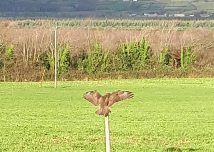 Bed & Breakfast Kilburn House